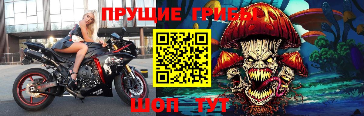 Галлюциногенные грибы ЛСД Керчь