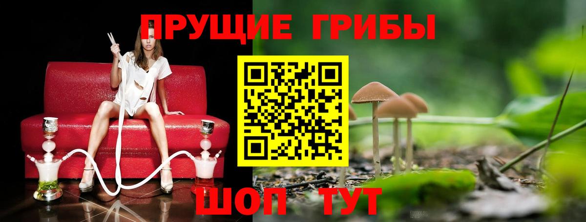 где найти   Вход с VPN  Керчь  Галлюциногенные грибы мухоморы 
